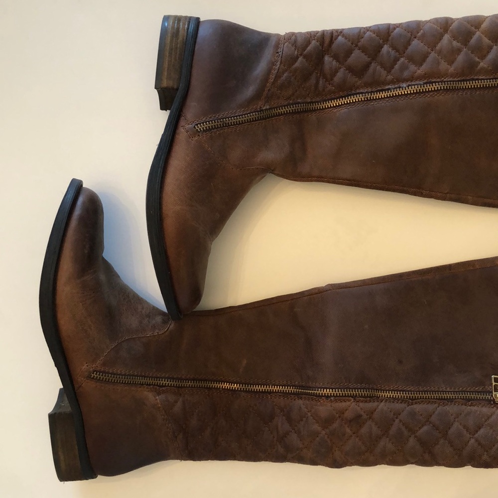 Steve Madden riding boots